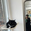 삼도왕국밥 | 일상 80 💇‍♀️