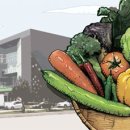 Q할인마트 이미지