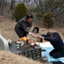 향토사 뿌리를 찾아 드린 삼일절 참배/안성환 이미지
