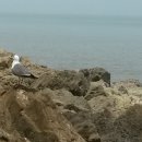 구봉이약수터 이미지