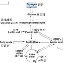 더블제이짐 이미지