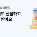 신박케이