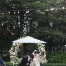 오앤하우스웨딩 | 결혼준비 광주 전라도 결혼 웨딩홀투어 야외 예식장 스몰웨딩 총정리 비교 애견동반