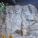 평택5로20번길 | 평택 고기집 삼겹살 맛집 불쇼까지 즐기는 돌풍 평택시청점 소갈비살 찐후기