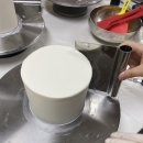 올바르개 이미지