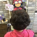 헤어고고 이미지