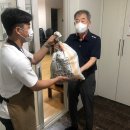 오리경로당 이미지