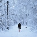 검정고시(중졸) 이미지