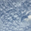 몸사랑한약국 이미지