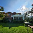 호반의 왈츠 이미지