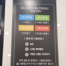 성석로 | 애견셀프목욕 추천｜올도그베이싱중대형견셀프목욕실 미쯔 목욕 후기