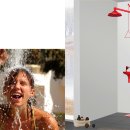 노바복스 이미지