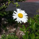 영화어르신의집 이미지