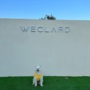 위클라드애견풀빌라 이미지