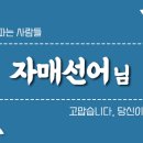 자매선어 이미지