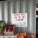 부산 태종대 유람선/부산여행코스추천 : 은하수유람선 (Ft.할인 꿀팁)