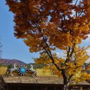 포니랜드 이미지