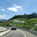 알펜시아콘서트홀 이미지