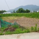 송남초등학교 이미지