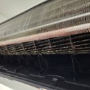 넘버원크린 이미지