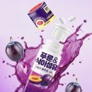 동국인테리어 | 요즘 다이소에서 품절된다는 건강템? 동국제약 마이팝 푸룬&식이섬유 후기