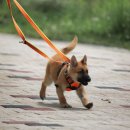 소리천로 이미지