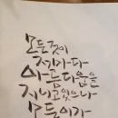 캘리그라피 이미지