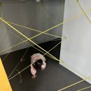 메가코인 | 화정 키즈카페 메가플레이키즈파크 무제한키즈카페 주말 오픈런 후기