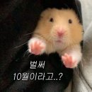 본기공소 | 다육이 프로젝트 🌱