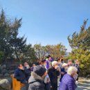 봉선화의원 이미지