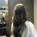 애쉬그레이 네이버블로그
