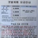 오이도 조개 캐기 체험 후기 | 어촌체험마을 제2체험장