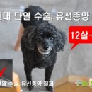전동물병원 이미지