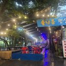 솔내음과 물소리 이미지