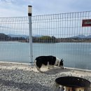 호두마루 캠핑 이미지