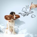 살랑살랑 이미지