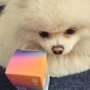 해피포우 이미지