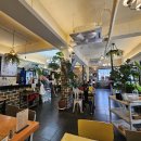 더포르테 이미지