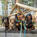 개러리아 이미지