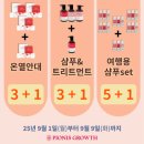 피오케이