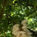 보성다비치콘도 이미지