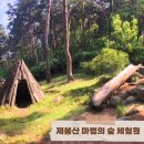 제봉산 마법의 숲체험원 이미지