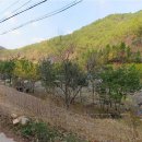 숲속쉼터옆 이미지