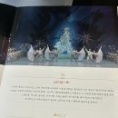(공연) 국립발레단 <호두까기 인형> | 호두까기인형" 세종예술의전당 발레공연 관람 후기 | 국립발레단 수석무용수 발레리나 조연재, 발레리노...