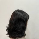 미도칼라 이미지