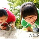 아리수유도 뉴스1