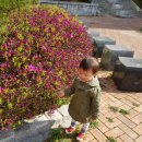 꽃이 좋아 이미지