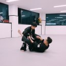 와이번 주짓수 합기도 이미지