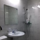 완도네시아 이미지