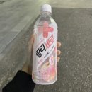 까망도야지 | 23_10